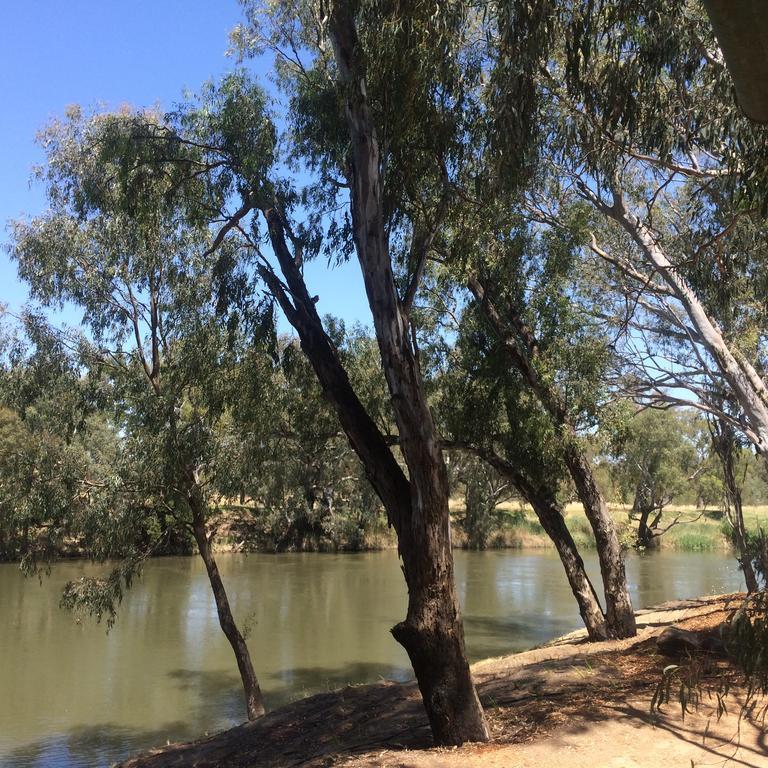 Wagga Wagga Beach Caravan Park Hotel Room photo